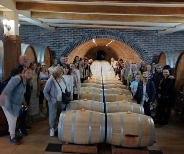 screenshot 20230605 115444 viber 1024x759